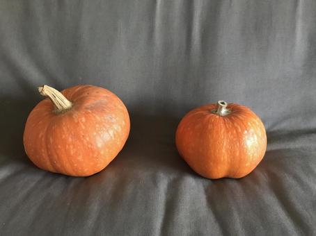可愛いカボチャ 可愛いカボチャ かぼちゃ,ハロウィーン,秋の写真素材