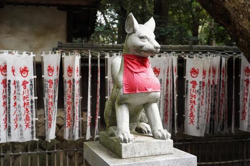 赤いよだれかけの稲荷狐像 狐,稲荷,稲荷狐の写真素材