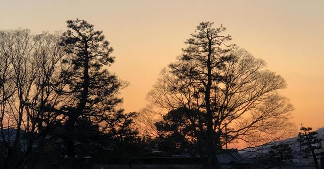 夕焼け〜賀茂川 夕焼け〜賀茂川の写真