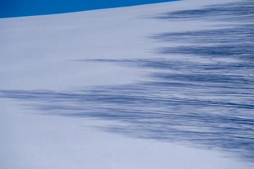 雪原を染める樹々の長い影と丘の造形美 冬,雪,雪原の写真素材