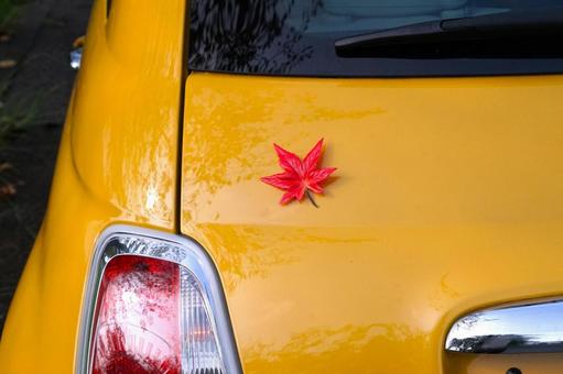 もみじマーク(?) もみじマーク(?) 車,紅葉,黄色の写真素材