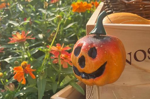 ハロウィンのかぼちゃ ハロウィンのかぼちゃ ハロウィン,ハッピーハロウィン,かぼちゃの写真素材