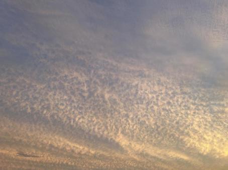 夕焼け空 夕焼け空の写真