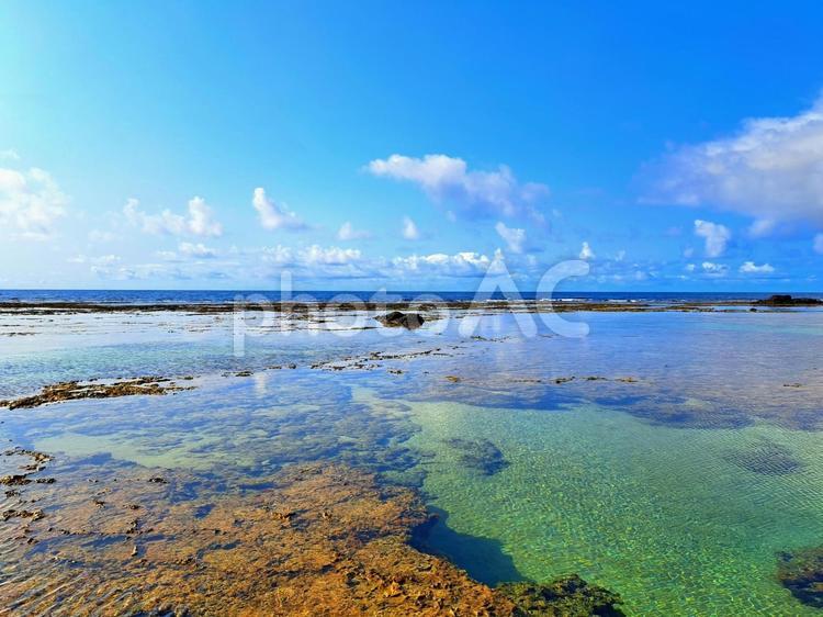 キレイな海　珊瑚礁 海,キレイ,珊瑚礁の写真素材