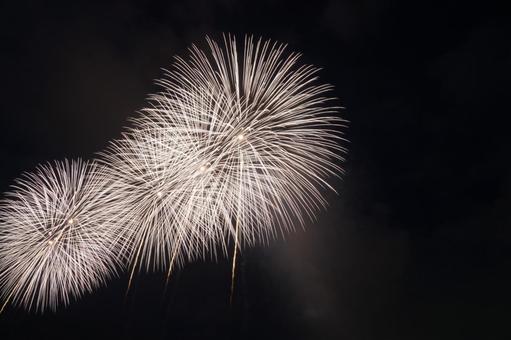 長岡花火2025 長岡花火,2025,長岡の写真素材