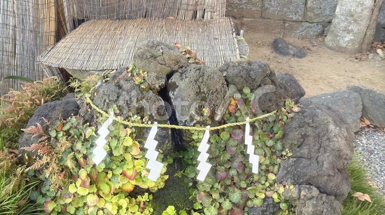 神社の湧水　聖水 湧水,八幡さま,漆の写真素材