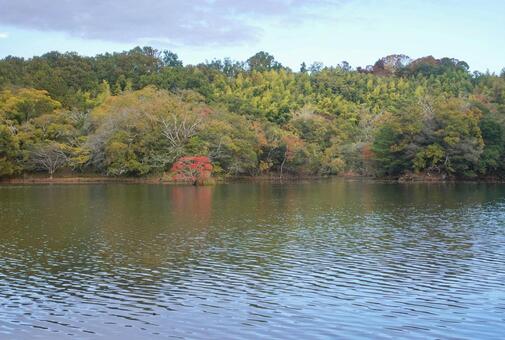 湖の色づき始めた初秋の風 湖面,初秋,色づき始めの写真素材
