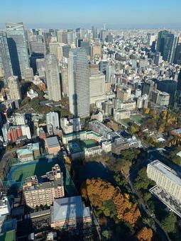 東京のビル群 東京のビル群の写真
