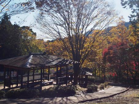 あいかわ公園のあずまや あいかわ公園のあずまや あいかわ公園,神奈川県,宮ヶ瀬湖の写真素材