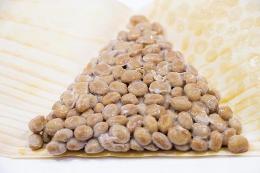 経木納豆 経木納豆,納豆,発酵食品の写真素材