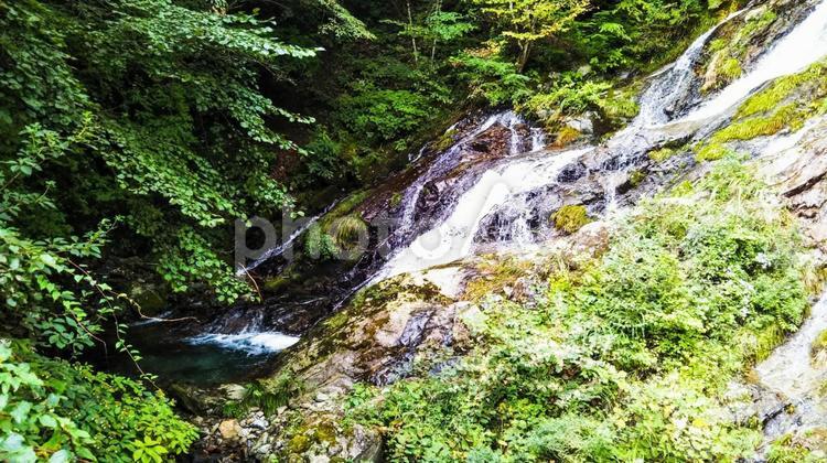 夢の瀧 自然,水域,滝の写真素材