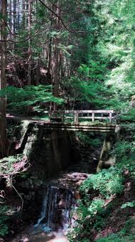 橋 橋の写真