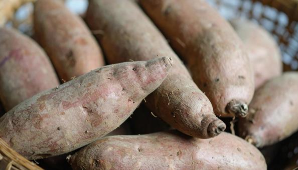 さつま芋 sweet potato さつま芋 sweet potatoの写真