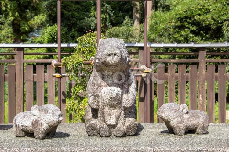 干支の庭 亥 沙沙貴神社,干支の庭,亥の写真素材