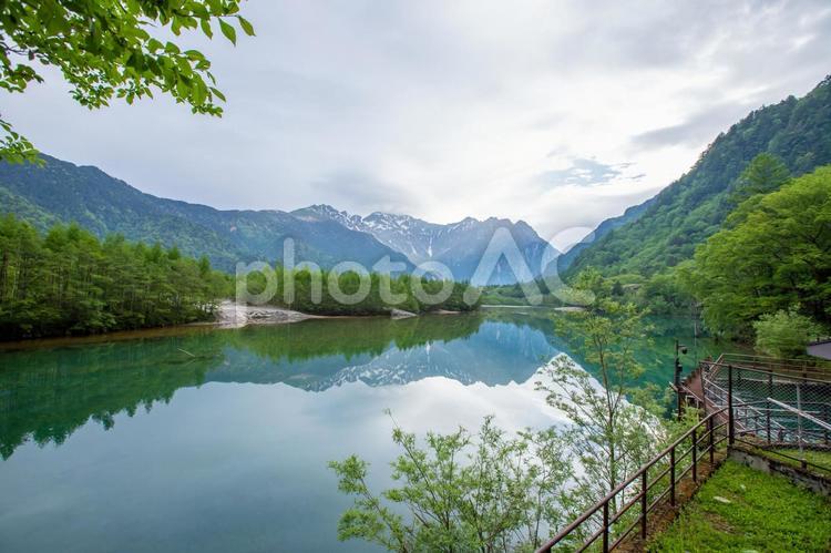 長野県　新緑の大正池 上高地,観光,観光地の写真素材