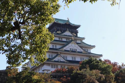 大阪城天守閣12 大阪城,天守閣,大阪城公園の写真素材