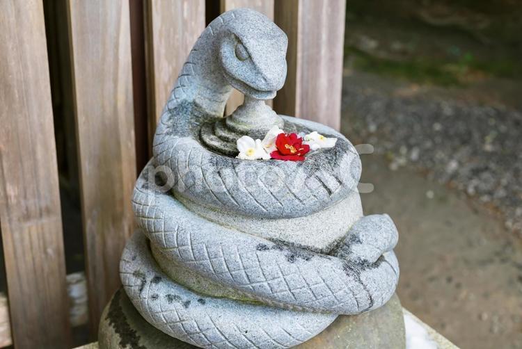 大豊神社の蛇 蛇,大豊神社,雪の写真素材