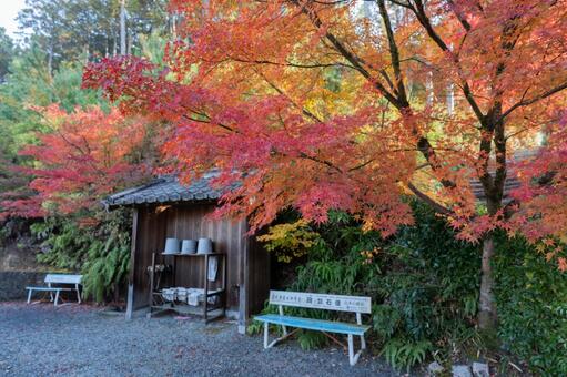 紅葉に包まれた圓光寺の小堂と白いベンチ 圓光寺,京都市左京区,小堂の写真素材