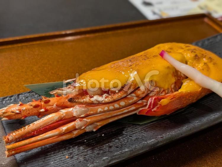 ロブスターの味噌ウニソース焼き ロブスター,海鮮,ロブスター焼の写真素材