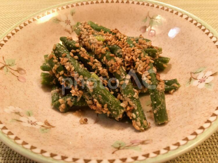 いんげんの胡麻和え いんげんの胡麻和え,和食,インゲン豆の写真素材