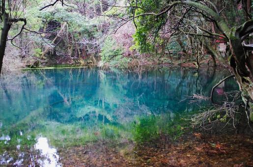 神秘的な池 自然,風景,池の写真素材