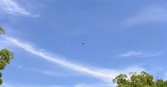 Photo, blue sky, airplane, corps, 