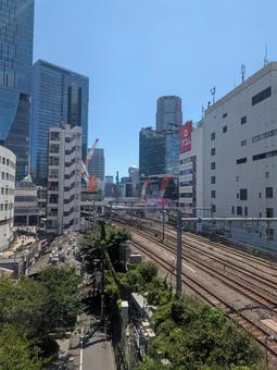 東京渋谷 東京渋谷の写真