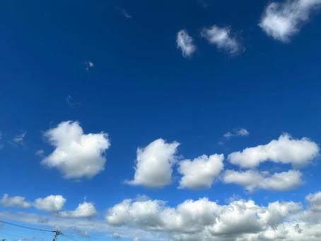 青空、並ぶ雲、空、雲 青空、並ぶ雲、空、雲の写真