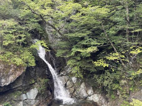 竜化の滝 風景 竜化の滝 風景の写真