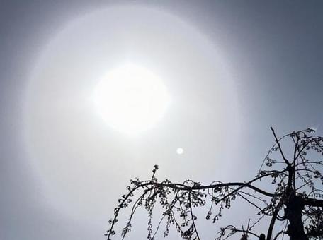 太陽　紫外線　の写真