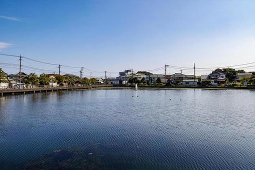日本一小さい陥没湖　島原白土湖 白土湖,池,湖の写真素材