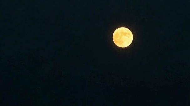 夜空に浮かぶ満月 夜空に浮かぶ満月 お月様,夜空,月の写真素材