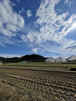 田舎の午後 夕方,シルエット,冬空の写真素材
