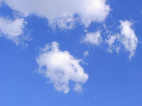 青空 青空,雲,空の写真素材