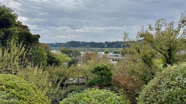 偕楽園 偕楽園,庭園,庭の写真素材