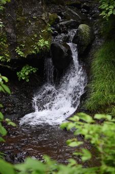 水の勢い 水の勢いの写真