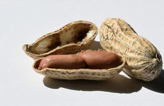 peanut, JPG