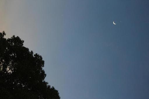 梅雨明けの三日月 三日月,梅雨明け,夜空の写真素材