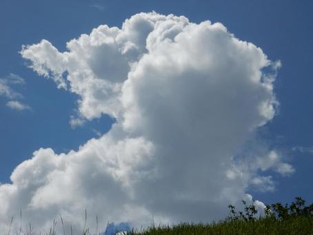 【風景写真】夏空 【風景写真】夏空の写真