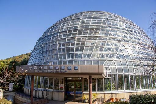 東谷山フルーツパーク 世界の熱帯果樹温室 東谷山フルーツパーク,世界の熱帯果樹温室,名古屋市の写真素材