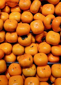 たくさんの柿 柿,果物,たくさんの写真素材
