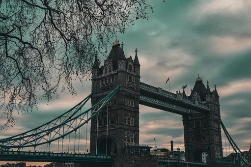 タワーブリッジと街路樹 タワーブリッジと街路樹 タワーブリッジ,ロンドン,イギリスの写真素材