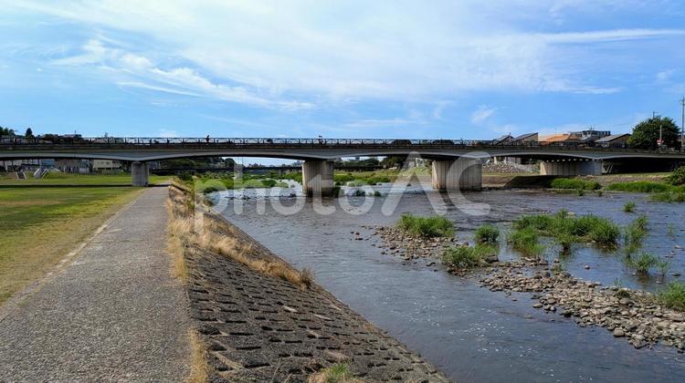 金沢を流れる犀川の河川敷 犀川,金沢,緑地の写真素材