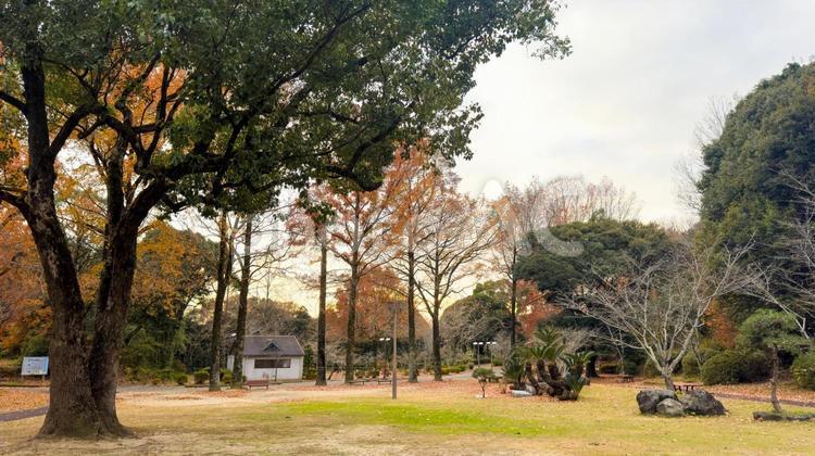 落ち葉に包まれた蛇ヶ谷公園の遊び場 蛇ヶ谷公園,玉名市,熊本県の写真素材