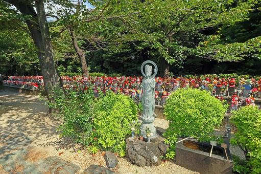 増上寺(港) 増上寺(港) 増上寺,浄土宗大本山,阿弥陀如来の写真素材