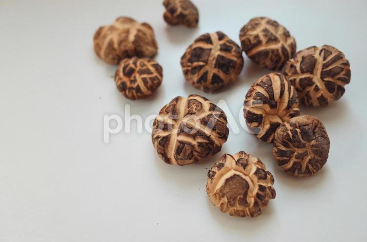 干し椎茸のクローズアップ2 しいたけ,干し椎茸,秋の味覚の写真素材