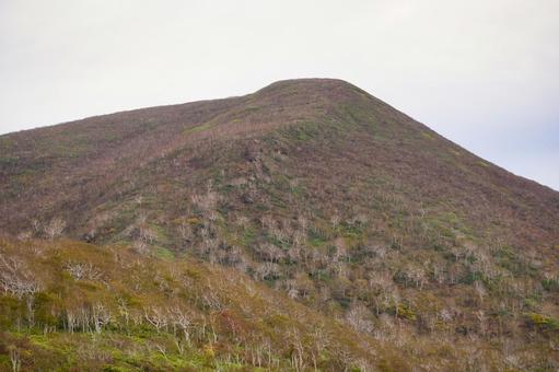 ニセコの山の写真
