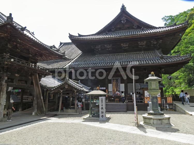 桜井　長谷寺　本堂 桜井,長谷寺,本堂の写真素材