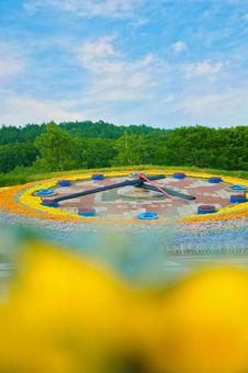 花時計 花時計の写真