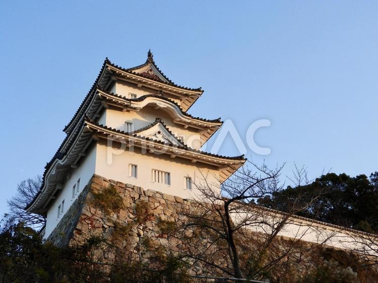 明石城坤櫓を見上げる 明石城,坤櫓,城の写真素材